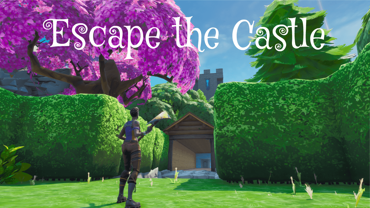 ESCAPE THE CASTLE