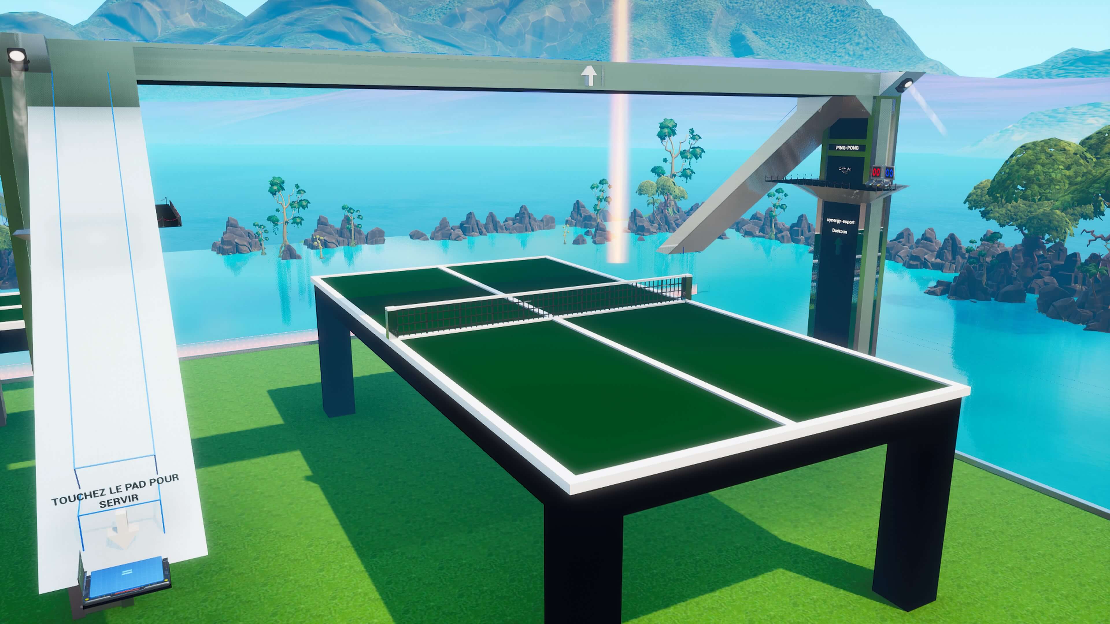 PING-PONG LAND