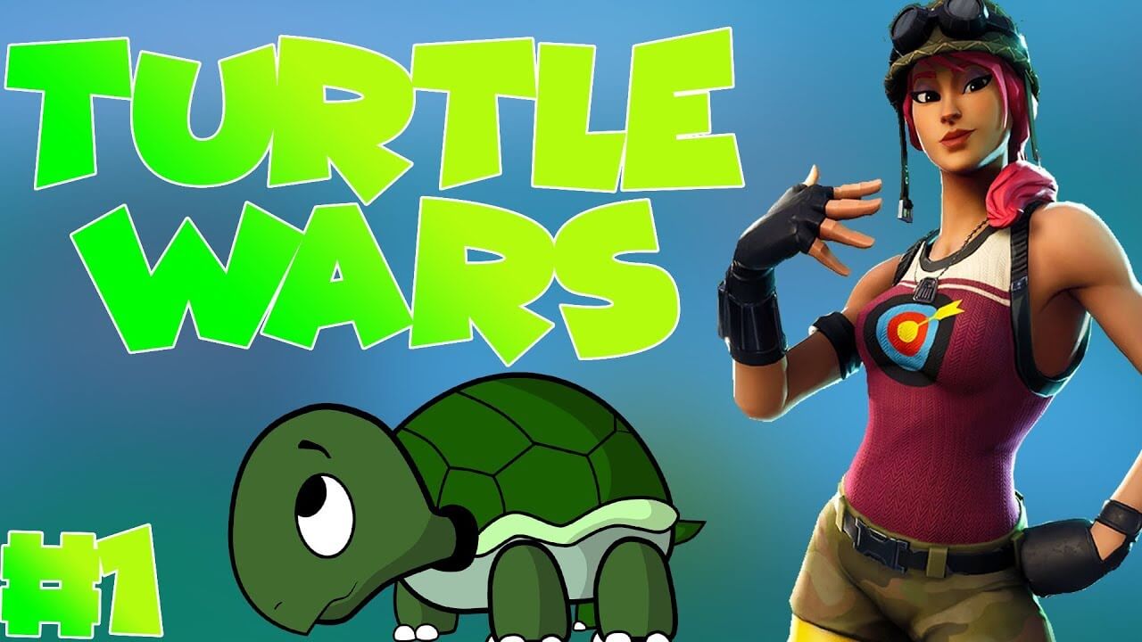 COMPACT COMBAT | TURTLE WARS